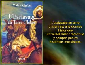 Highlight for Album: L'ESCLAVAGE en AFN avant 1830